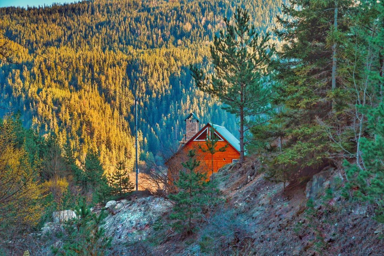 Cozy Cottage Feel Free Continental Didi Ateni 外观 照片