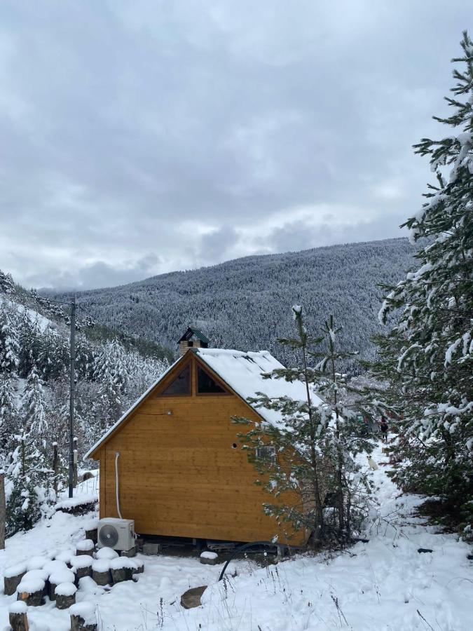 Cozy Cottage Feel Free Continental Didi Ateni 外观 照片