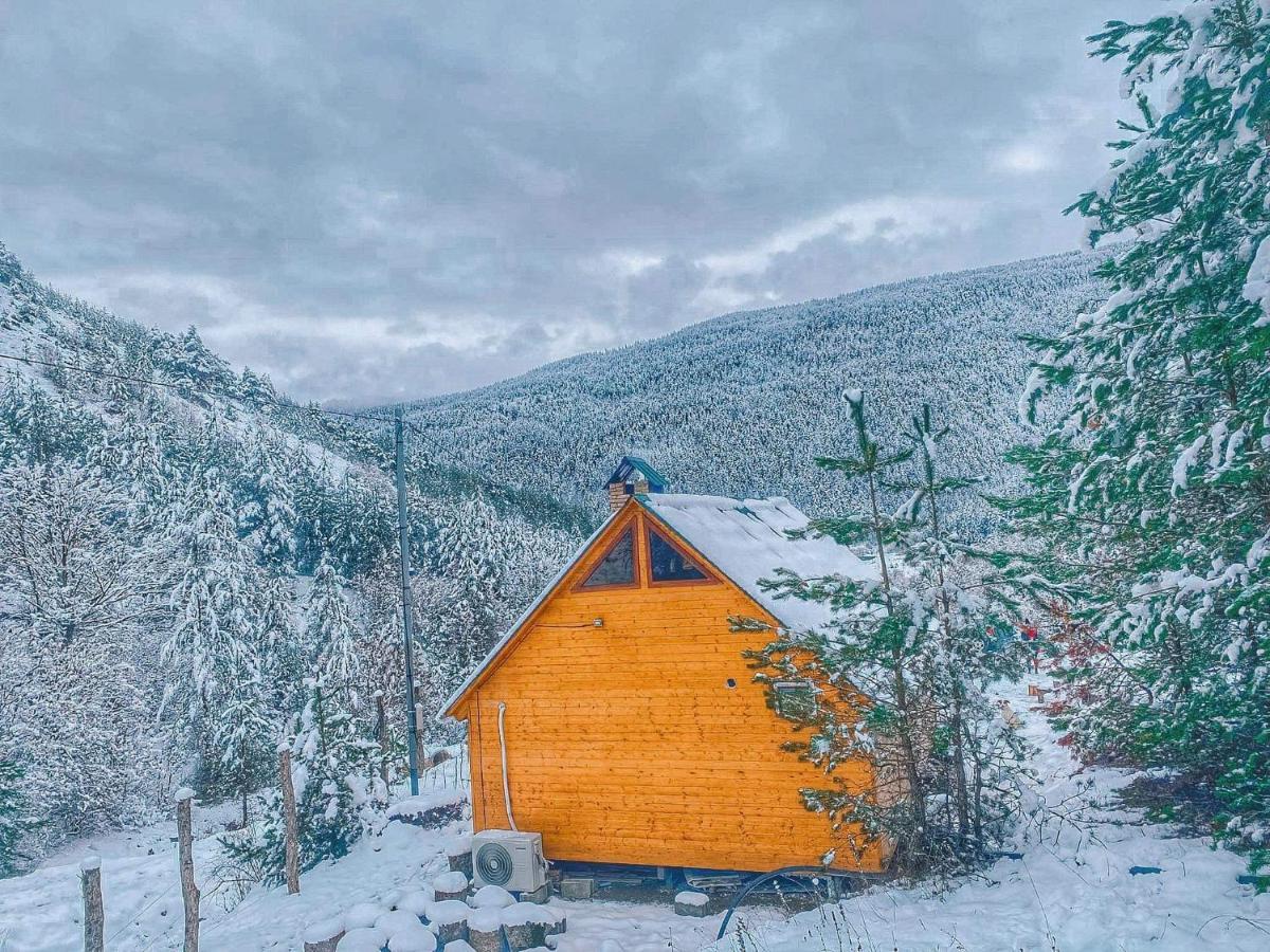 Cozy Cottage Feel Free Continental Didi Ateni 外观 照片