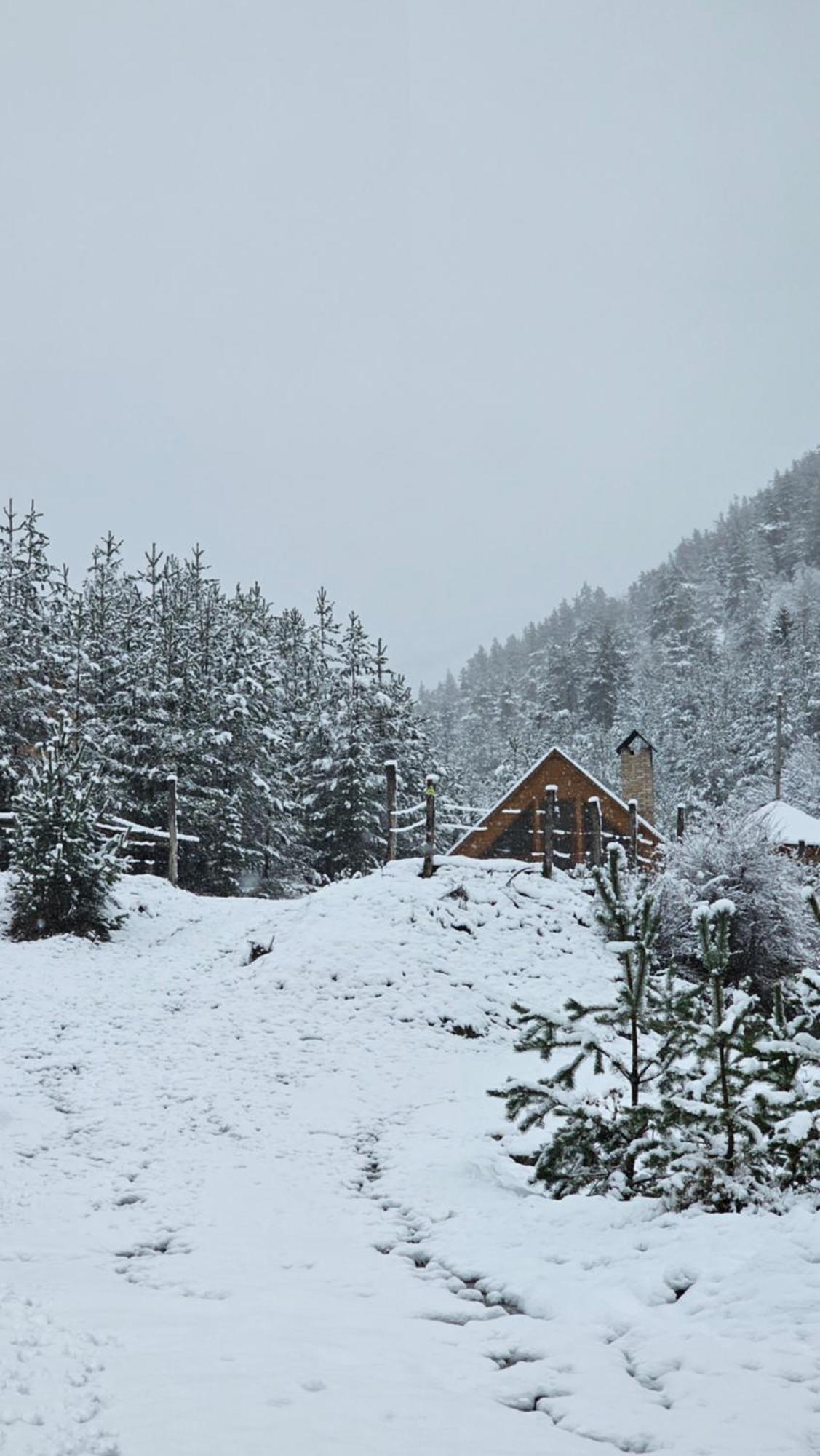 Cozy Cottage Feel Free Continental Didi Ateni 外观 照片